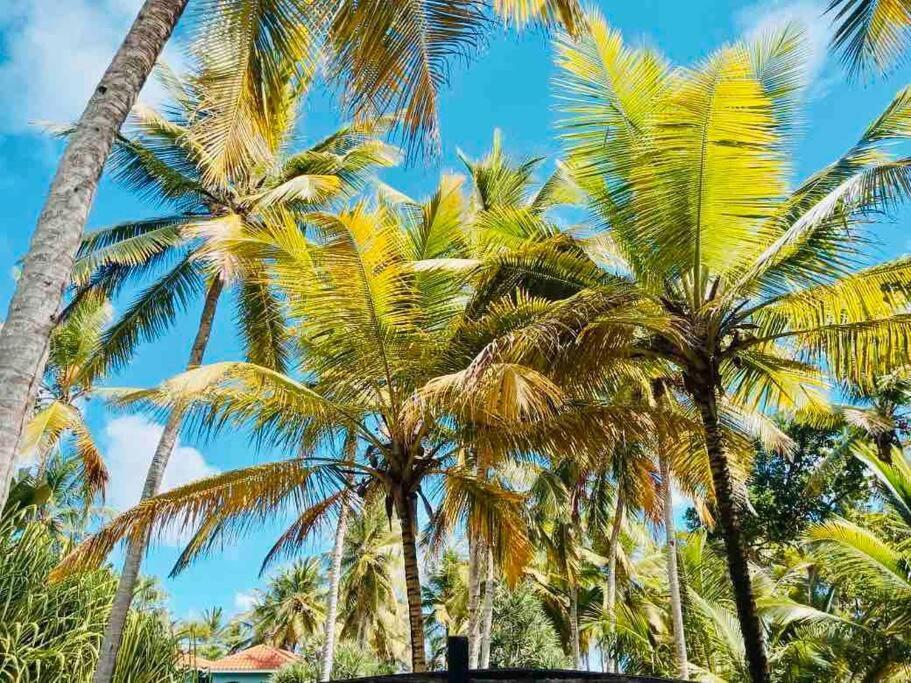 PALM HOUSE - LUXURY VILLA - SAMANÁ - Ocean Front Sánchez Exterior foto